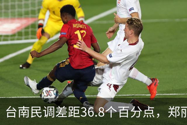台南民调差距36.8个百分点，郑丽文的翻盘希望在高雄？